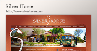 Silver Horse