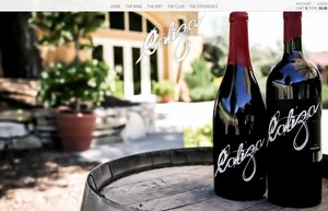 Vin65 Portfolio - Caliza Winery