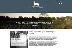 Vin65 Portfolio - Raidis Estate