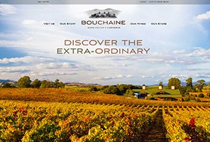 Vin65 Portfolio - Bouchaine Vineyards
