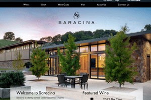 Vin65 Portfolio - Saracina Vineyards