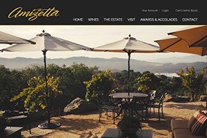 Vin65 Portfolio - Amizetta Estate Winery