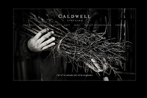 Vin65 Portfolio - Caldwell Vineyard