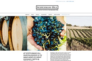 Vin65 Portfolio - Scotchmans Hill