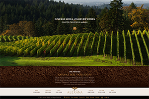 Vin65 Portfolio - Alexana Winery - Store