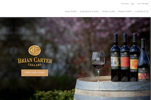 Vin65 Portfolio - Brian Carter Cellars