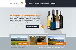 Vin65 Portfolio - District 7