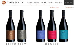 Vin65 Portfolio - David Family Wine