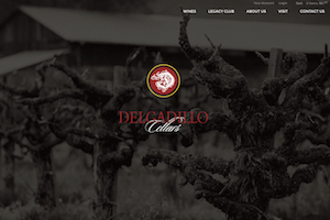 Vin65 Portfolio - Delgadillo Cellars