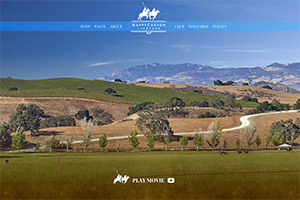 Vin65 Portfolio - Happy Canyon Vineyard