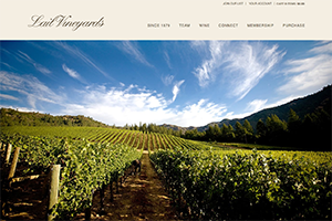 Vin65 Portfolio - Lail Vineyards