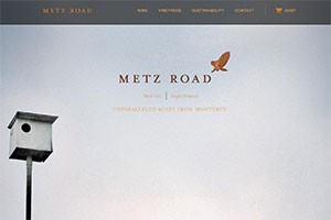 Vin65 Portfolio - Metz Road