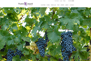 Vin65 Portfolio - Perry Creek