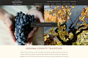 Vin65 Portfolio - Seghesio