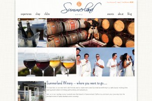 Vin65 Portfolio - Summerland Wine
