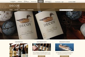 Vin65 Portfolio - Decoy