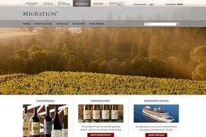 Vin65 Portfolio - Migration