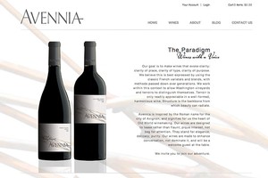 Vin65 Portfolio - Avennia