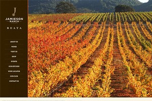 Vin65 Portfolio - Jamieson Ranch