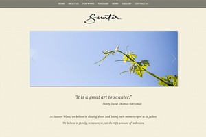 Vin65 Portfolio - Saunter Wines