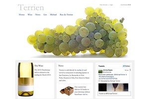Vin65 Portfolio - Terrien Wines